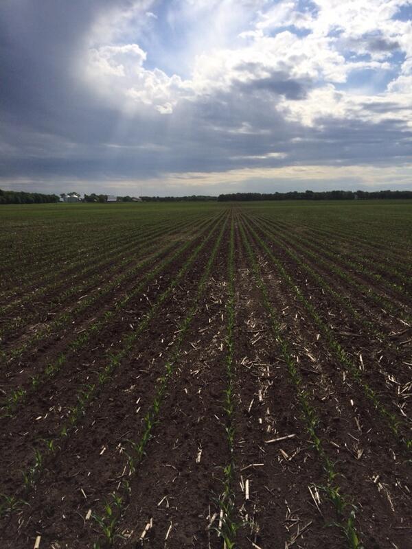 arbushfield's tweet image. View from the office..