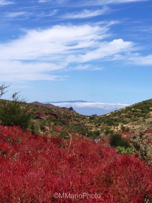 MMarioPhoto's tweet photo. Zona de los volcanes en S.José de los Llanos con #LaGomera al fondo ayer #Tenerife #Canarias con @VictorSanGar http://t.co/evys1RrrsR