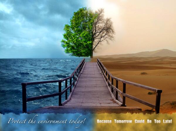 TheViewspaper's tweet photo. Its #WorldEnvironmentDay Here are 5 things you can do to save the environment. http://t.co/ZJZJAwWCvN #gogreen http://t.co/inALCYjWwM
