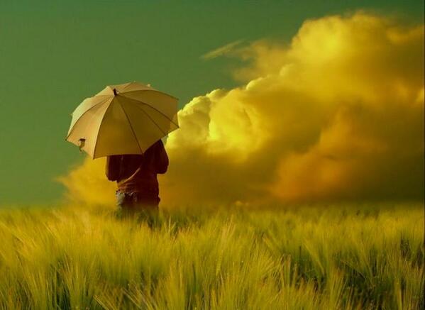 Elements by Veronika Pinke #inspiration #CGE #nature
