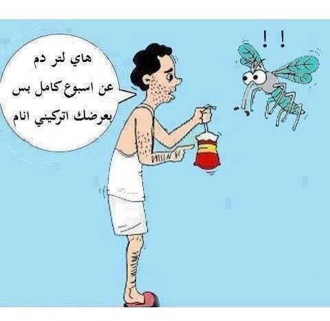 obida87's tweet photo. بلش الناموس مع الصيف ،،، هي الحل الامثل للتعامل مع الناموس ،،، #ناموس #ماـبنام #عيلةـتويتر #jo #amman http://t.co/9dpKH2vazf