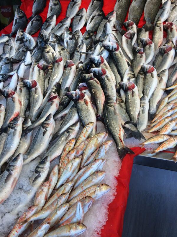 cihanderyabalik's tweet photo. CİHAN DERYA BALIKTA HER ZAMAN TAZE BALIK MEVCUTTUR http://t.co/qea6BjKZ1Z