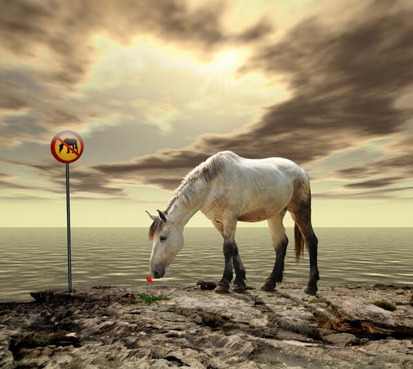 No words by Caras Ionut #inspiration #CGE