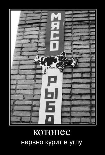 Aljbert6XbG's tweet photo. http://t.co/iLYeRl9gaG