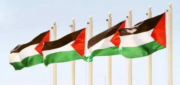 Palestine_ar's tweet photo. على حبك ما في حبيب ♥
#فلسطين #Palestine 
. http://t.co/7XPYvV5QGm