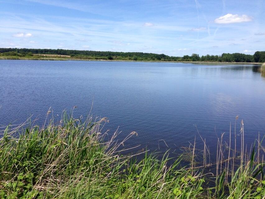 Permalien de l'image intégrée