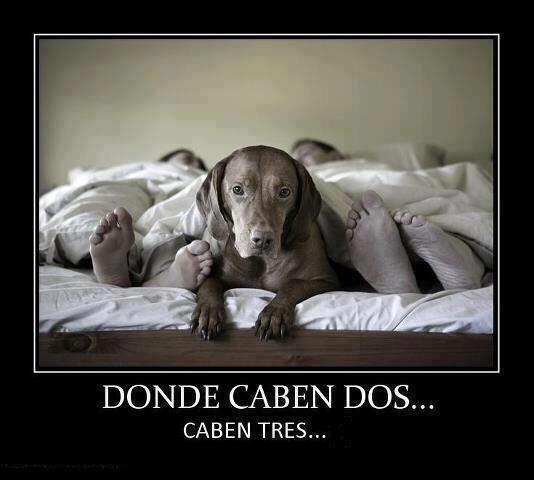 venezuelaaldia's tweet photo. Dónde caben dos, caben 3. http://t.co/rMILOFhz2d