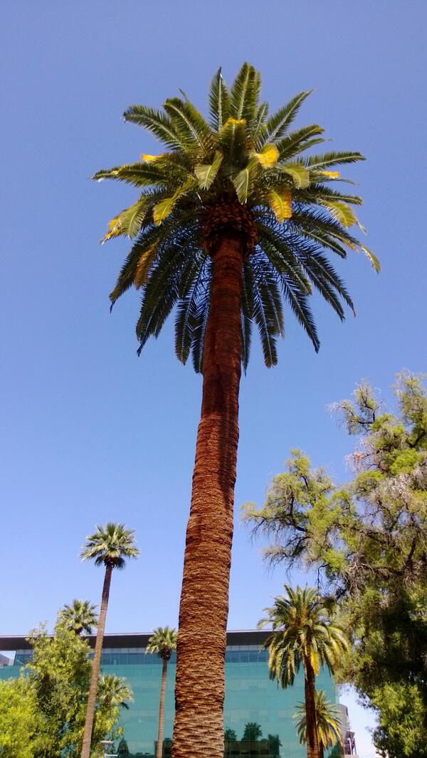 graycloudyskies's tweet image. #readysetweekend #entry