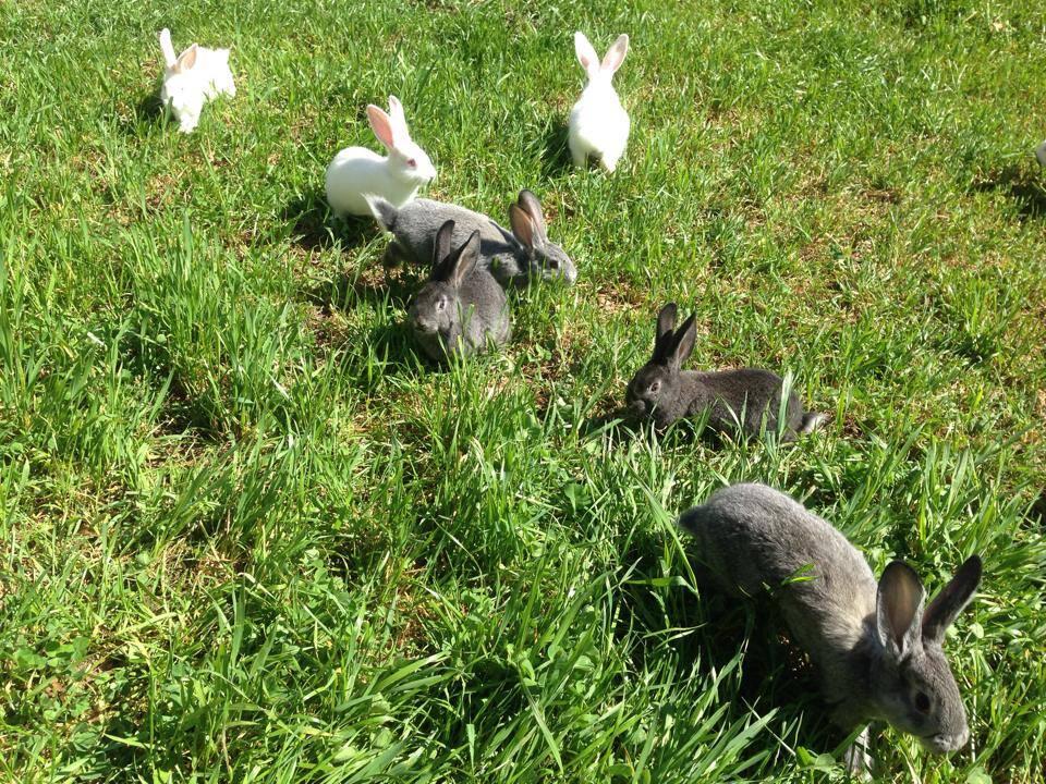 Jackeez.com on Twitter: