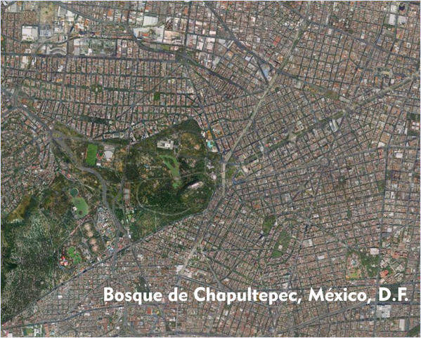 EmbaMexTai's tweet photo. These are the "lungs" of  #MexicoCity and #Bangkok. It is our responsibility to preserve them #WED2014 #DMMA2014 http://t.co/d45J8ZI7DQ