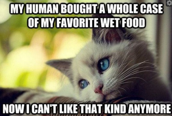 PetsLifeline's tweet image. 32 Hilarious Struggles Only Cat people Can Understand #cats imgur.com/a/dURi3 #catsareincharge