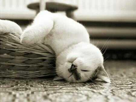 LEDZou's tweet image. 今宵多珍重  陈百强
愁看残红乱舞 忆花底初度逢
难尽垂头泪涌 此际幸月朦胧
愁绪如何自控 悲哀都一样同
情意如能互通 相分不必相送
。。。。