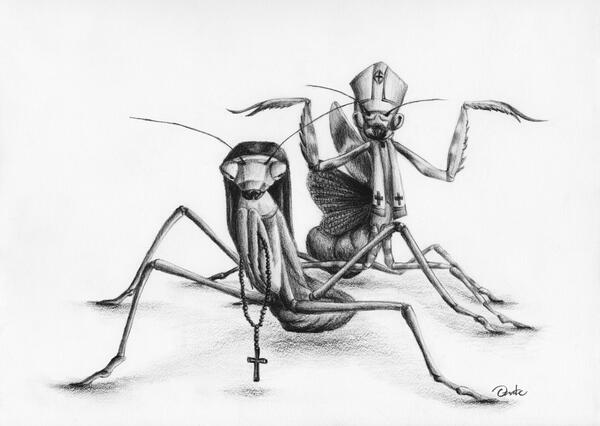 OrateVisual's tweet image. Checa el nuevo album "Insectario" en Fb y descubre insectos adquiriendo actitudes humanas.