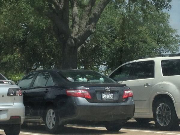 atxhobogrl's tweet photo. @pinkvalkyrie new car? #herroKitty http://t.co/Nu0zxKQmCT
