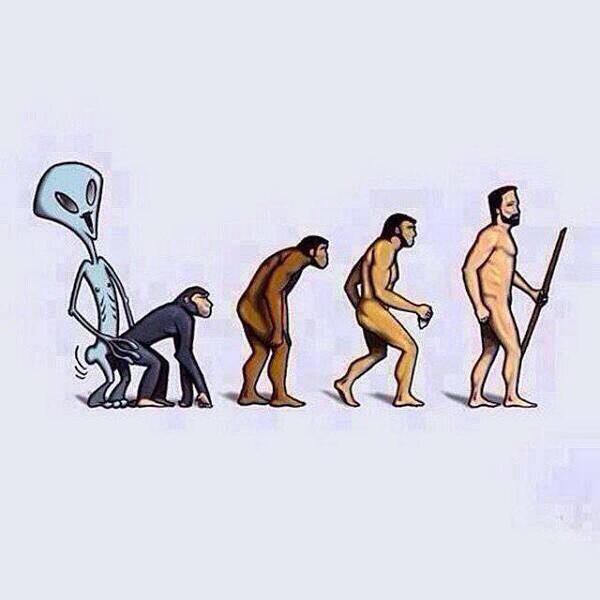PerdidoEnTuiti's tweet image. #evolutionisreal #Evolucion #Aliens