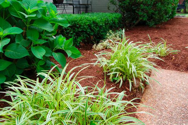 BLincorporated's tweet photo. A flower bed freshly weeded, edged, trimmed, raked, and mulched. Just beautiful. #goodwork, #landscape, #plants. http://t.co/FtNuOJ5ueE