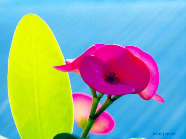 hendrarider's tweet photo. http://t.co/X09JuFJmqC