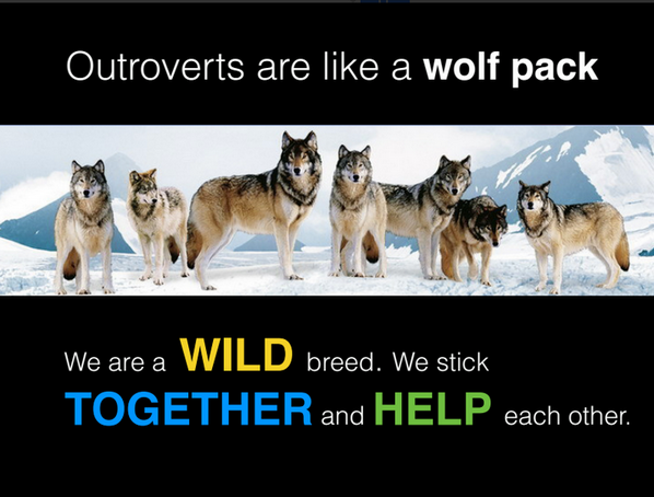 OUTrovert's tweet image. Outroverts are like a pack of wolf. They are wild and they stick together.
#outdoors #outdoor_gear #outrovert