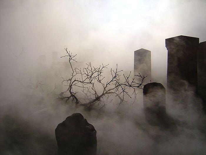 Permalien de l'image intégrée