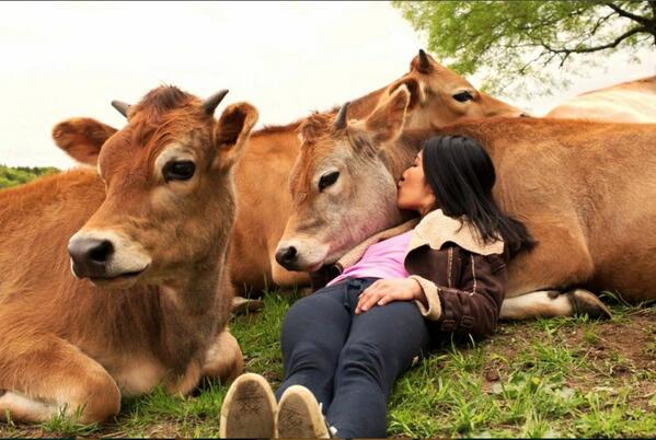 dodo's tweet photo. Farm animals—they're more like you than you think http://t.co/9jA3kGdEPh http://t.co/yHzNShY9on