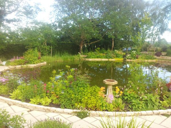 Holmeforgardens (@holmeforgardens) on Twitter photo 