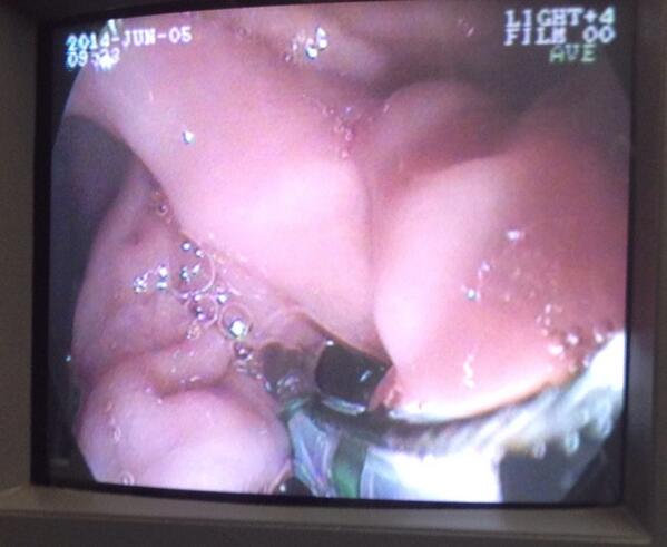 Liumariel Vegas Silva tweet media