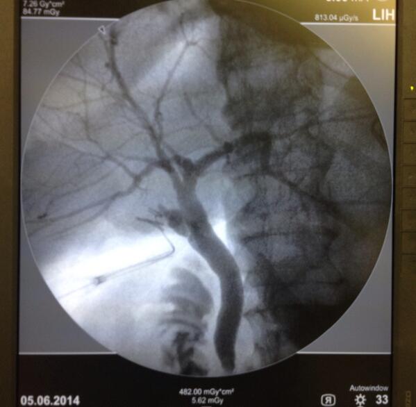 Liumariel Vegas Silva tweet media