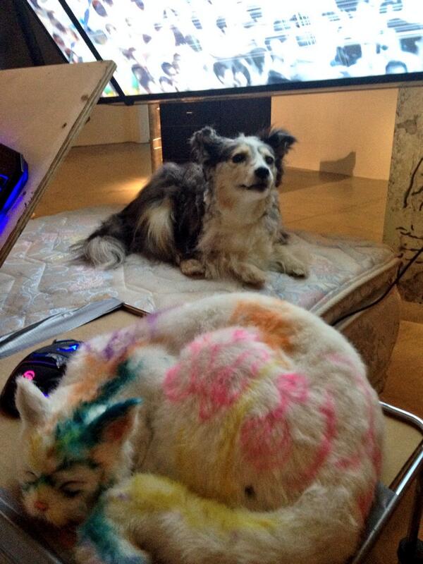 Sneak peek at part of <a href="/jonrafman/">Jon Rafman</a>'s troll cave-inspired installation! What do you think? #PowerBallTO