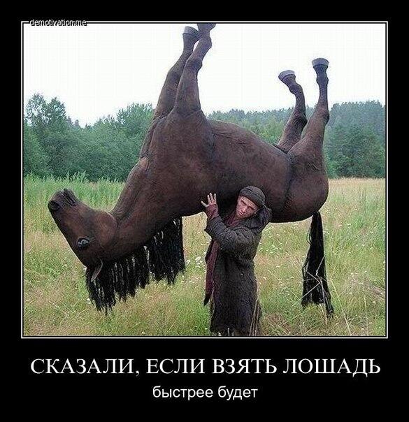 Fadej55D81's tweet photo. http://t.co/ZL2CGEUaT9
