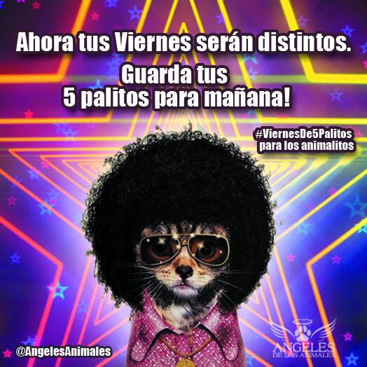 AngelesdelosAnimales tweet media