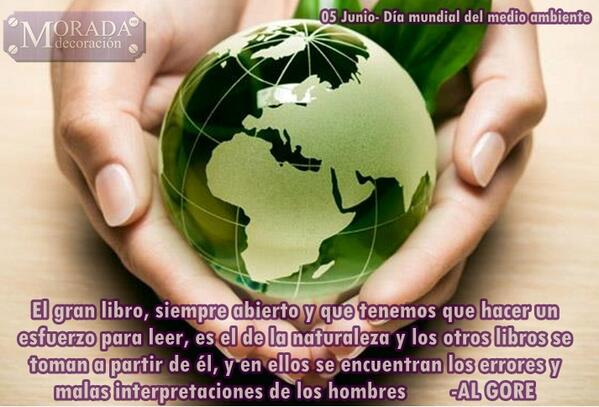 MoradaDecora tweet picture
