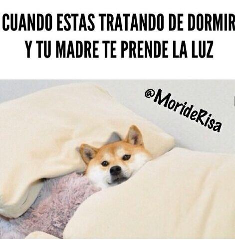 IngritQ's tweet photo. Mi mamá es experta en esto :) http://t.co/7bIbeIXh87