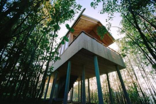 DesignHotel's tweet photo. MT: Lumber Lodging in a Tree House in the #Hotel Hofgut Hafnerleiten #FriFotos #wood #Hofgut http://t.co/tbRgG8ytsm http://t.co/pL6dyO9SaN