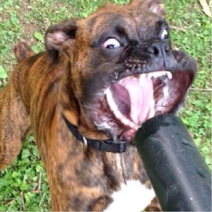 hellochancey's tweet image. When I hear there's food