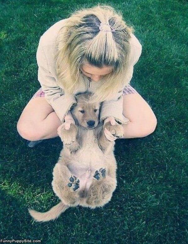 芝生でゴローン