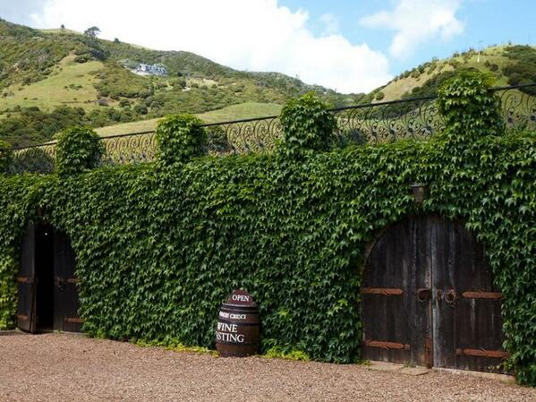 podericrisci tweet media