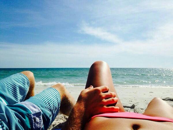 shippeable's tweet image. 