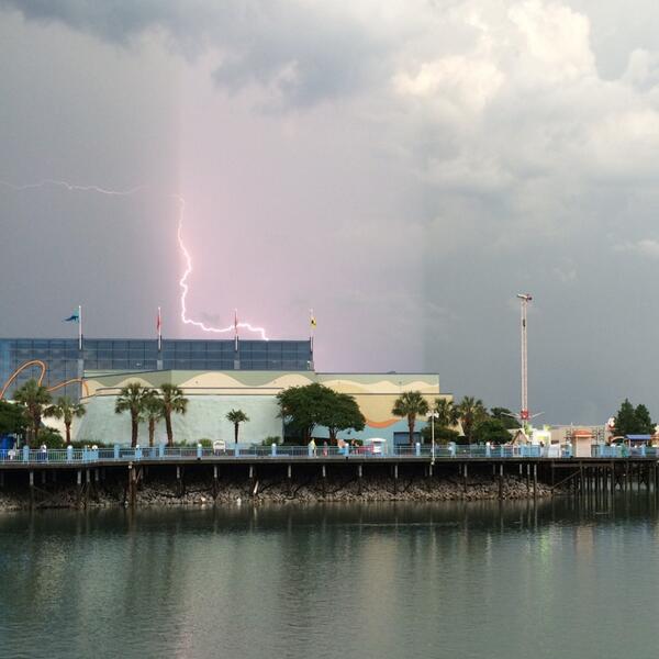 msteading3's tweet image. #finallygotit ⚡️