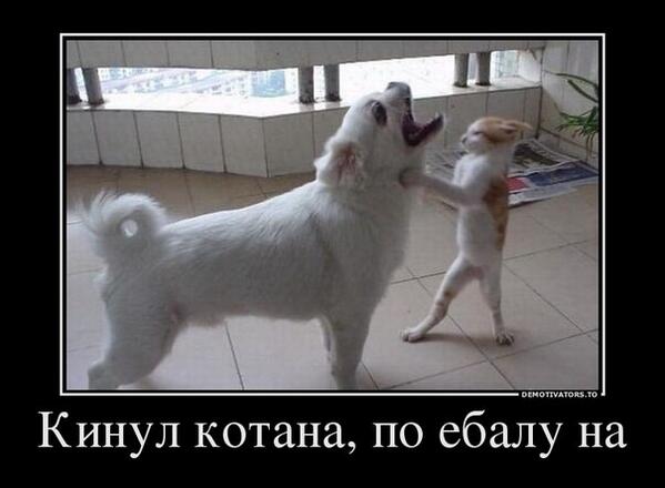 PetrMb5iN's tweet photo. http://t.co/40nfvai0o8