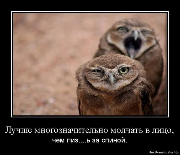 ViktorGd0T's tweet photo. http://t.co/87YfBijCfx