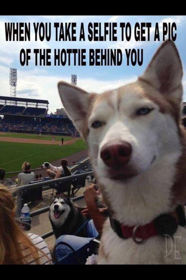 DewdropLil's tweet photo. Hawt Dawg??? lolzz http://t.co/RohvUZj1C7