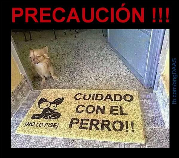 SazondeSanson's tweet photo. Jajajajajajajajajajajajjajajajajajajaja http://t.co/ZjDZb0Af9j