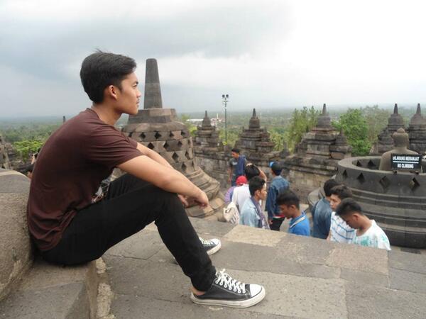 cepardian tweet picture