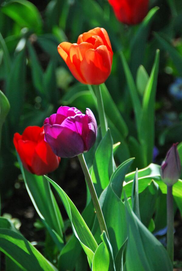 TimberDesigns3's tweet image. Snow is melting...that means we get to go into the mountains soon to cut logs!!!  Need aspen to build with aspen!!!