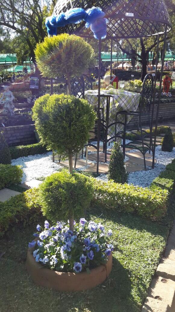 Stunning garden designs on show at Plantland Crowthorne! Worth braving the cold...