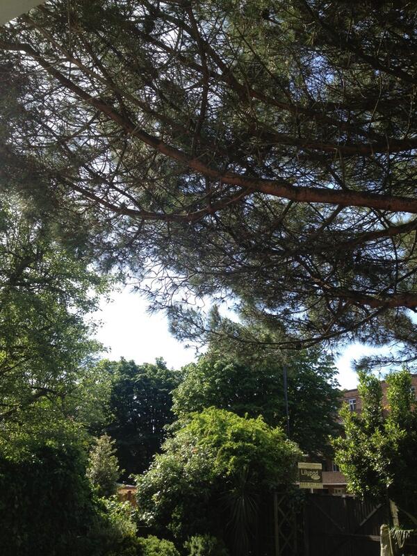 #beautifulday #se23 #sunshine #happyfaces #enjoy