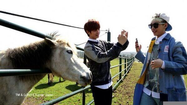 DresthaA's tweet photo. my cutie maknae couple iljae http://t.co/jkdriNT8zN