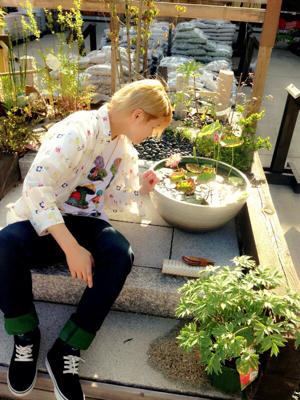 まき果林 アンモナイト コメリ 幸せー 毎日通いたい 園芸担当で働きたい 動物もおるし O ﾟ ﾟ O とりあえずひまわりとブルーベリー 購入 今度は絶対カリンの木の苗と紫陽花買うんだっっっ Http T Co Pdmhcolhqr