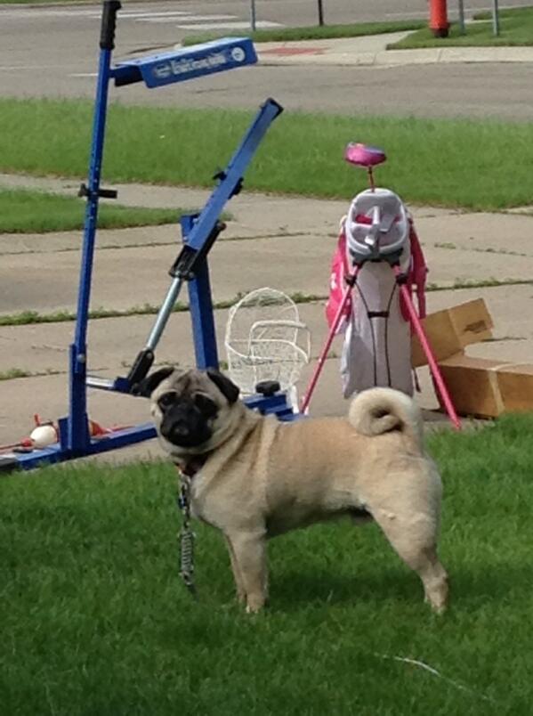 slugbug29's tweet photo. Garage Sale swag. #swag 🐶🐶🐶 http://t.co/rJQrnOuHMe