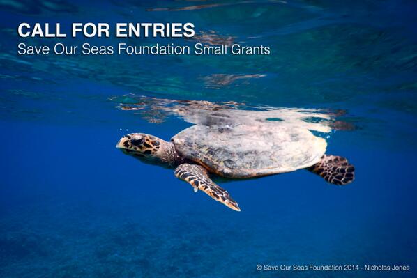 saveourseas's tweet photo. Applications for our small grants dedicated to early career scientists are open. #Sharks14
http://t.co/icnMFWZvLF http://t.co/lHkFs51aXo